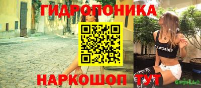 a pvp Дмитров