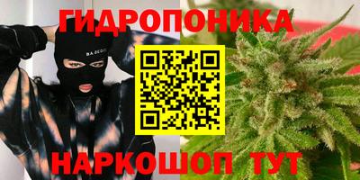 a pvp Дмитров