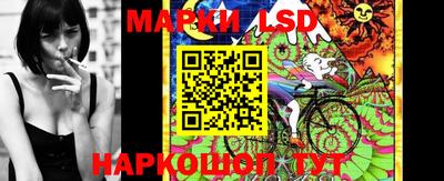 стафф Долгопрудный
